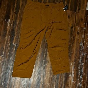 Target Men's Jogger Pants in Rust Brown